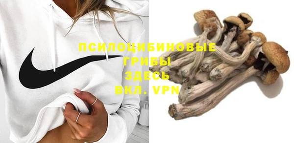 apvp Алексин