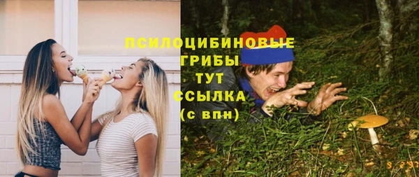 apvp Алексин