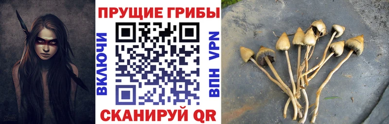 blacksprut как зайти  Лесной  Галлюциногенные грибы MAGIC MUSHROOMS 