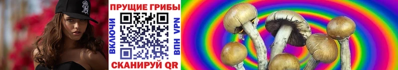 Галлюциногенные грибы GOLDEN TEACHER Лесной