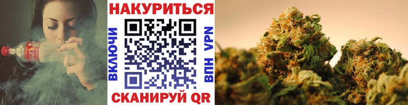 Каннабис гибрид  Лесной 